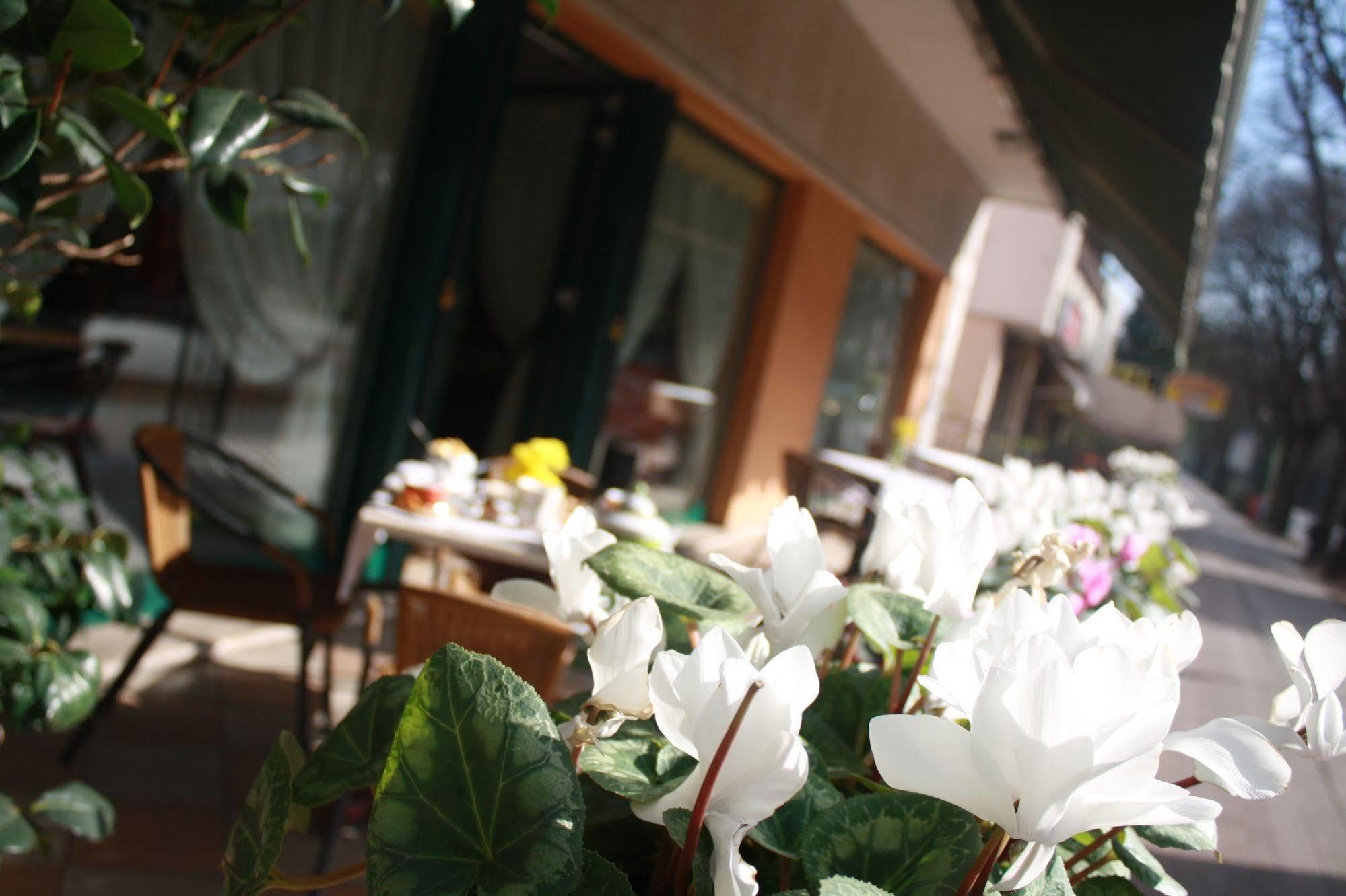 Hotel Damodoro ポルデノーネ エクステリア 写真